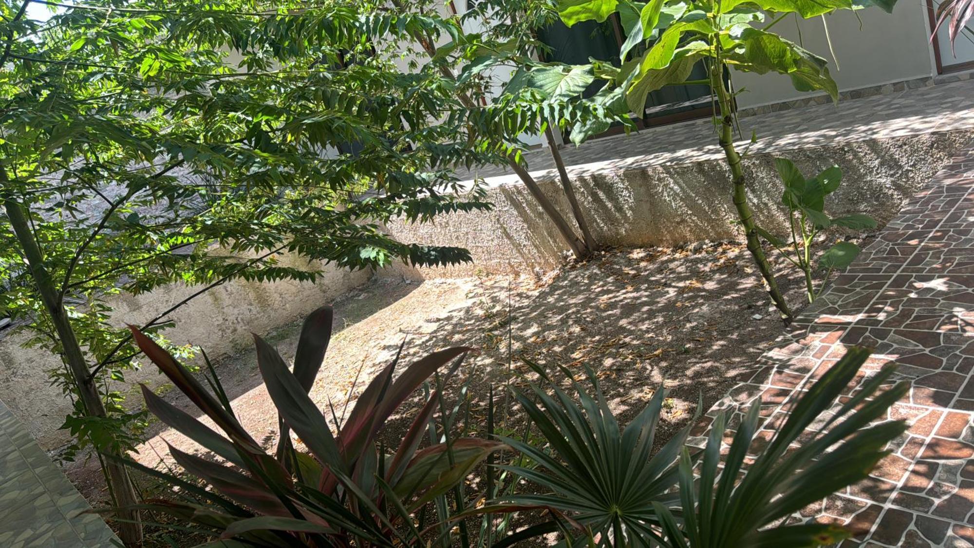 Hotel Blue Turtle Bacalar Bagian luar foto